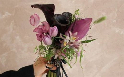 属鼠与属兔的合作能否成功分析与建议