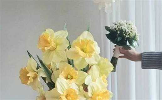 鼠年鼠币价格走势分析及投资建议