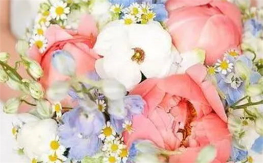 什么样的八字属于木命解析与实例分析