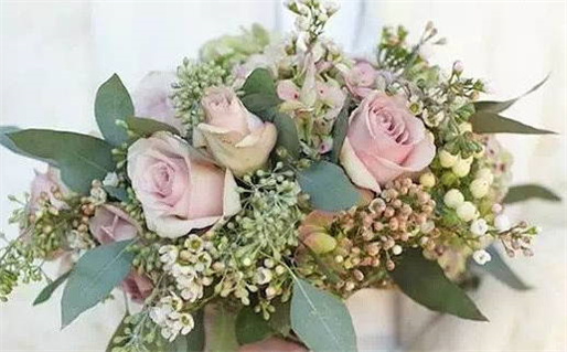 双鱼座女生无欲无求该如何调整心态