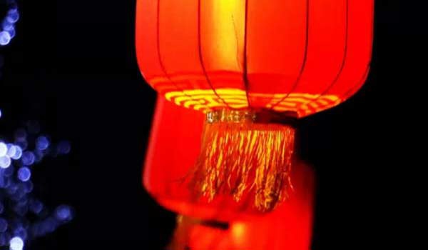 2026年2月10日装修指南：适宜活动与注意事项一览